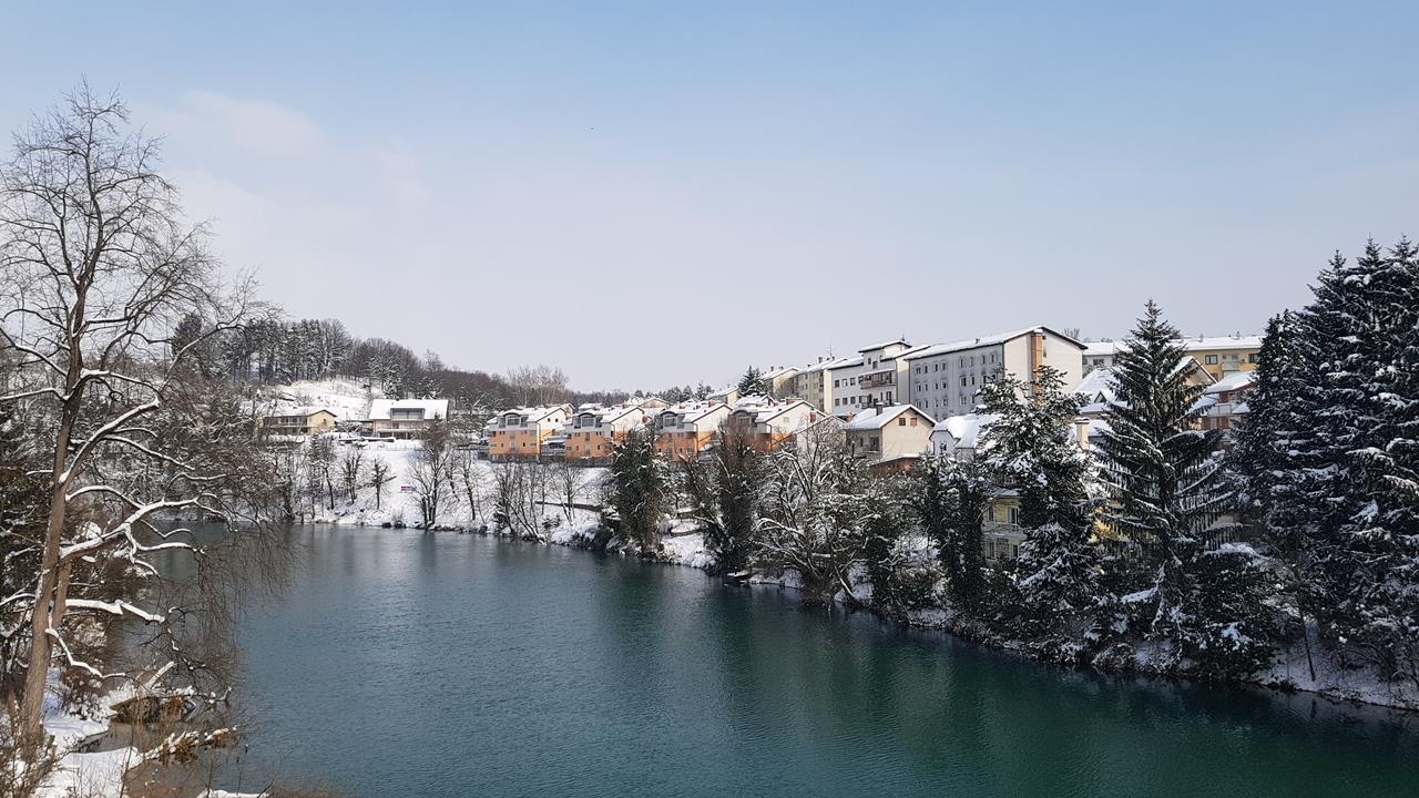 Apartment Sobe Ravbar Ново Место Екстериор снимка